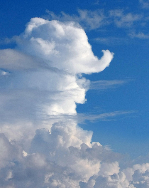 10 amazing clouds which resemble things Cool Things Collection