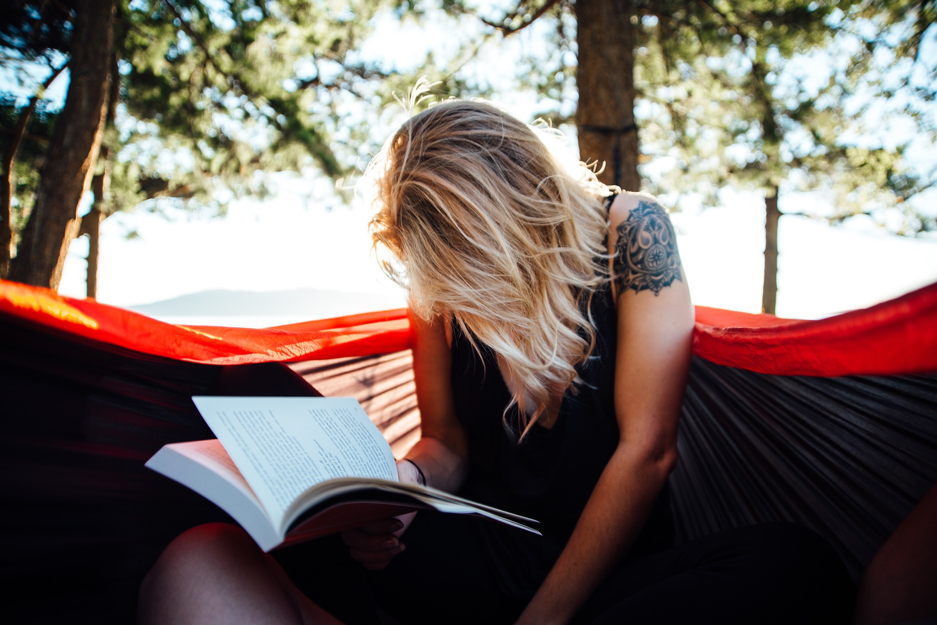 The Ultimate Guide to Studying Abroad for Students