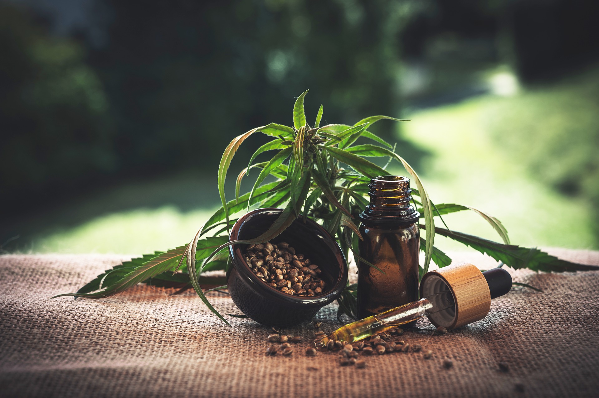 The Part That We All Miss – The CBD Flower