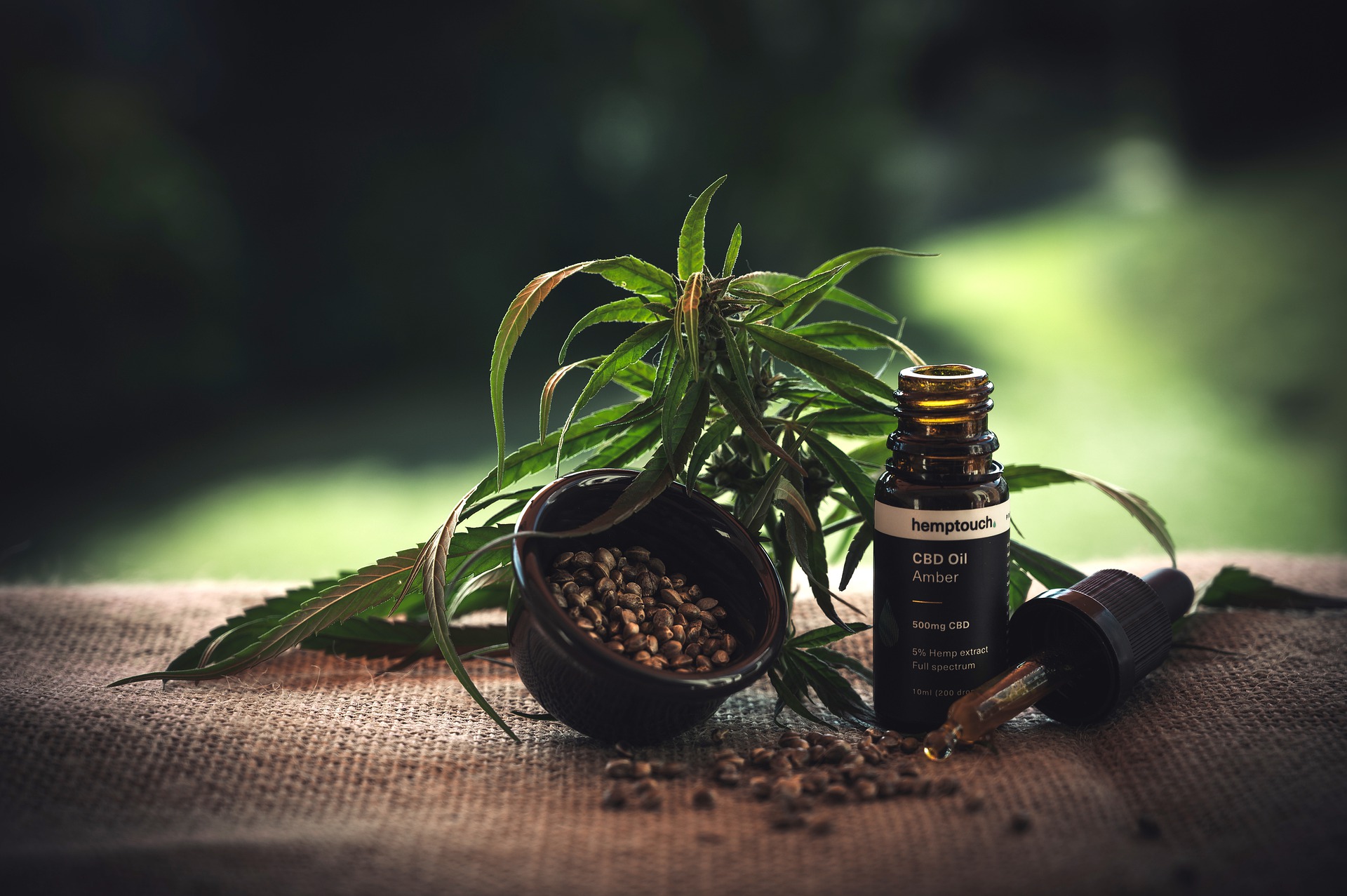 Interesting Facts About CBD Oil