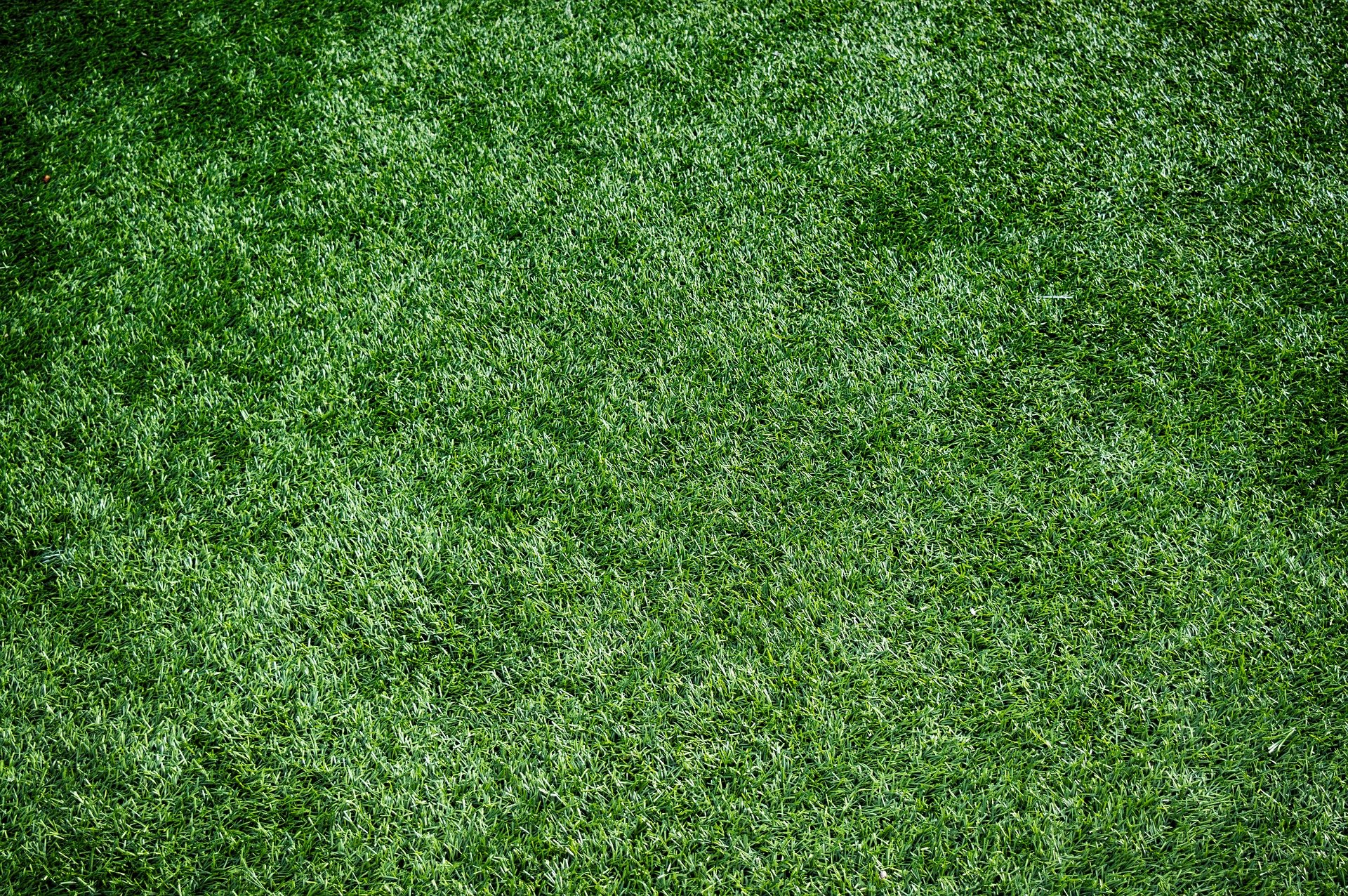 Fake Grass Benefits and Drawbacks