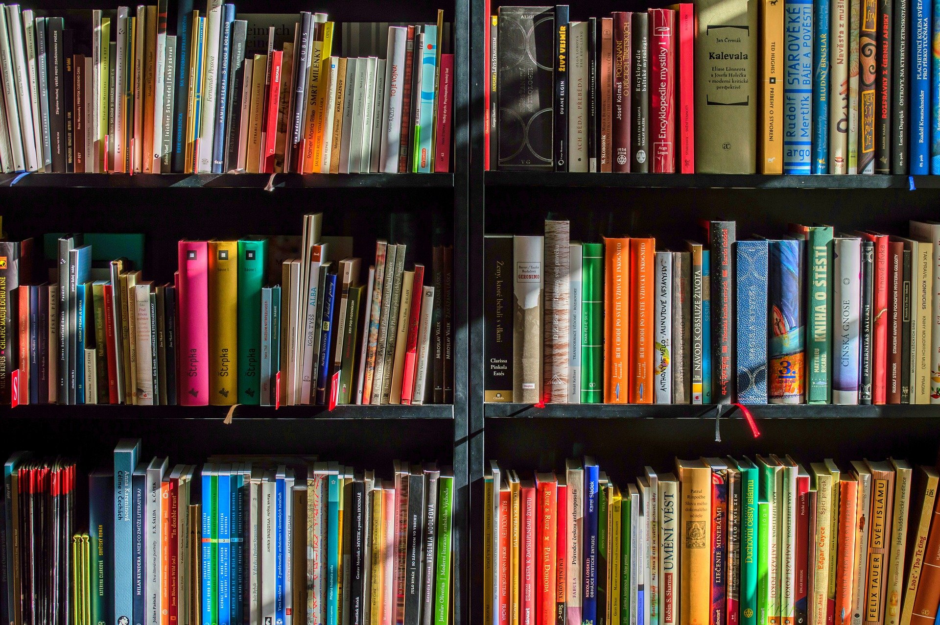 Book-nooks to libraries – 7 design ideas for your reading oasis