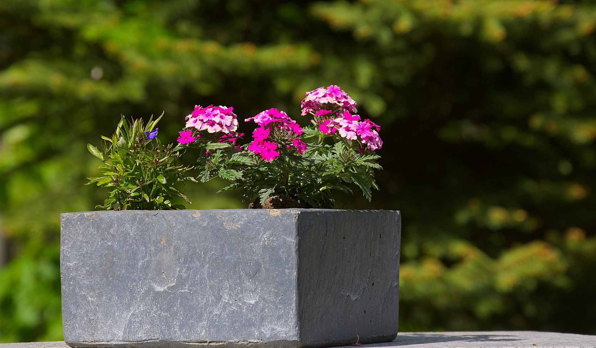 How to choose a large garden planter for you garden?