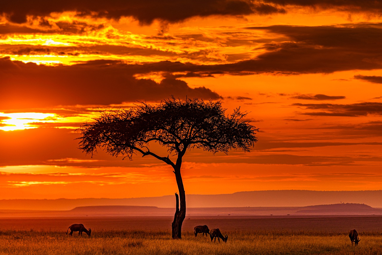 5 African Destinations You Need to Explore