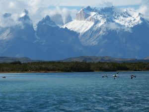 Patagonia