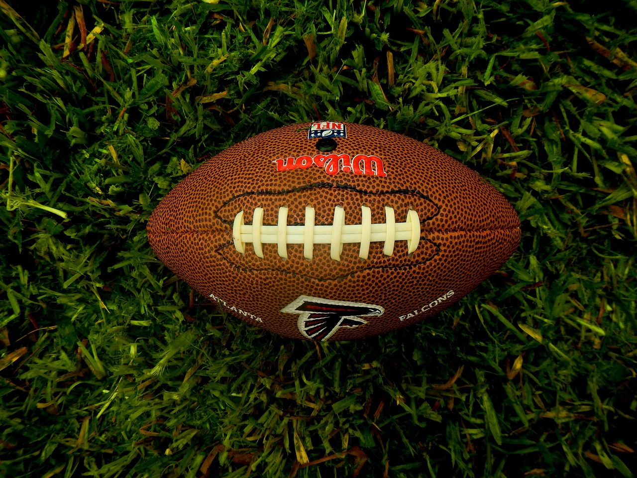 Top Sports Betting Sites in Florida