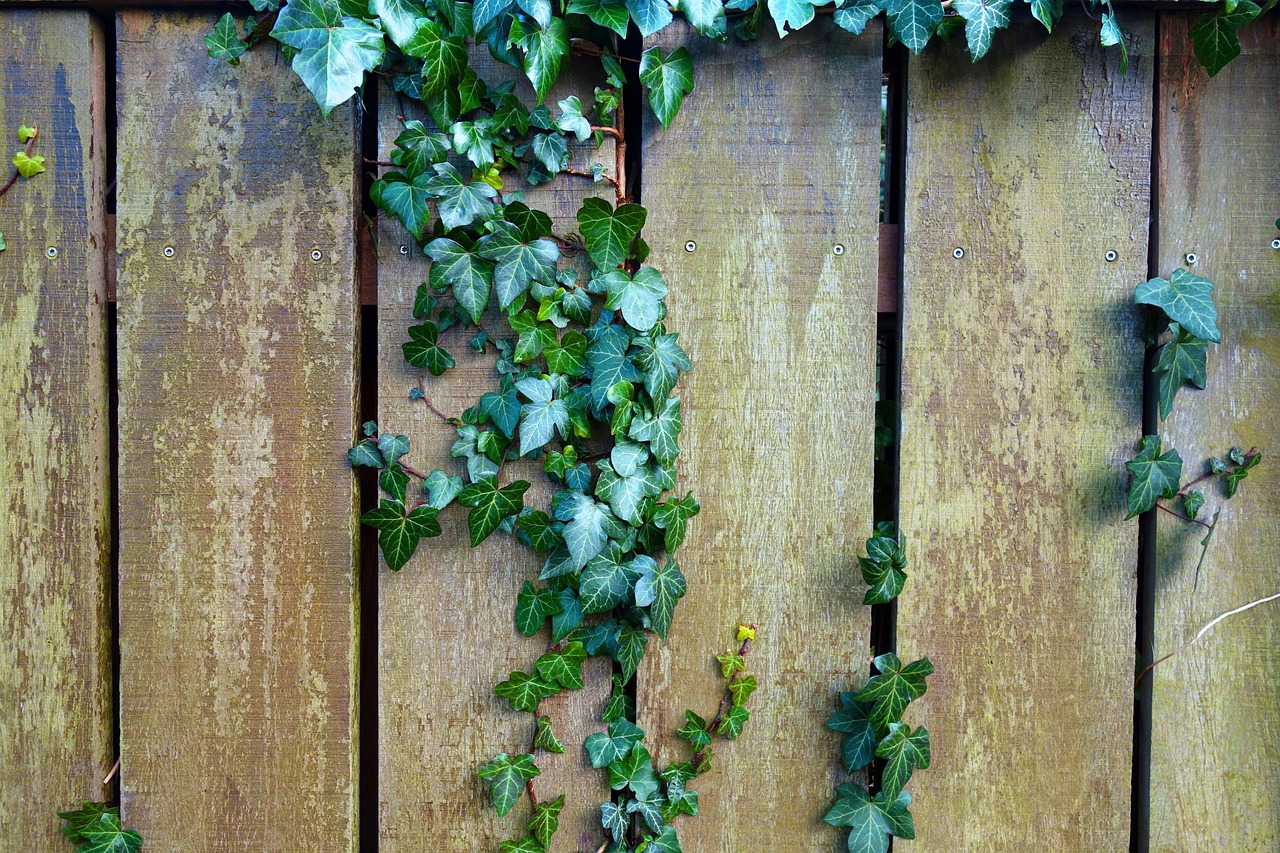 The Art of Integrating Garden Fences in Landscape Design