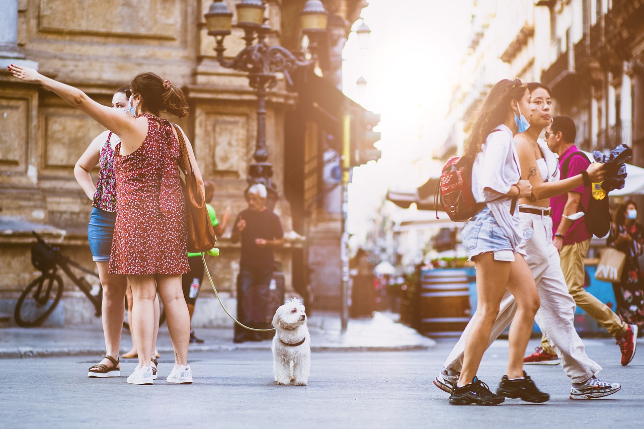 Essential Dog Gear for Urban Living: Navigating the City with Your Pup