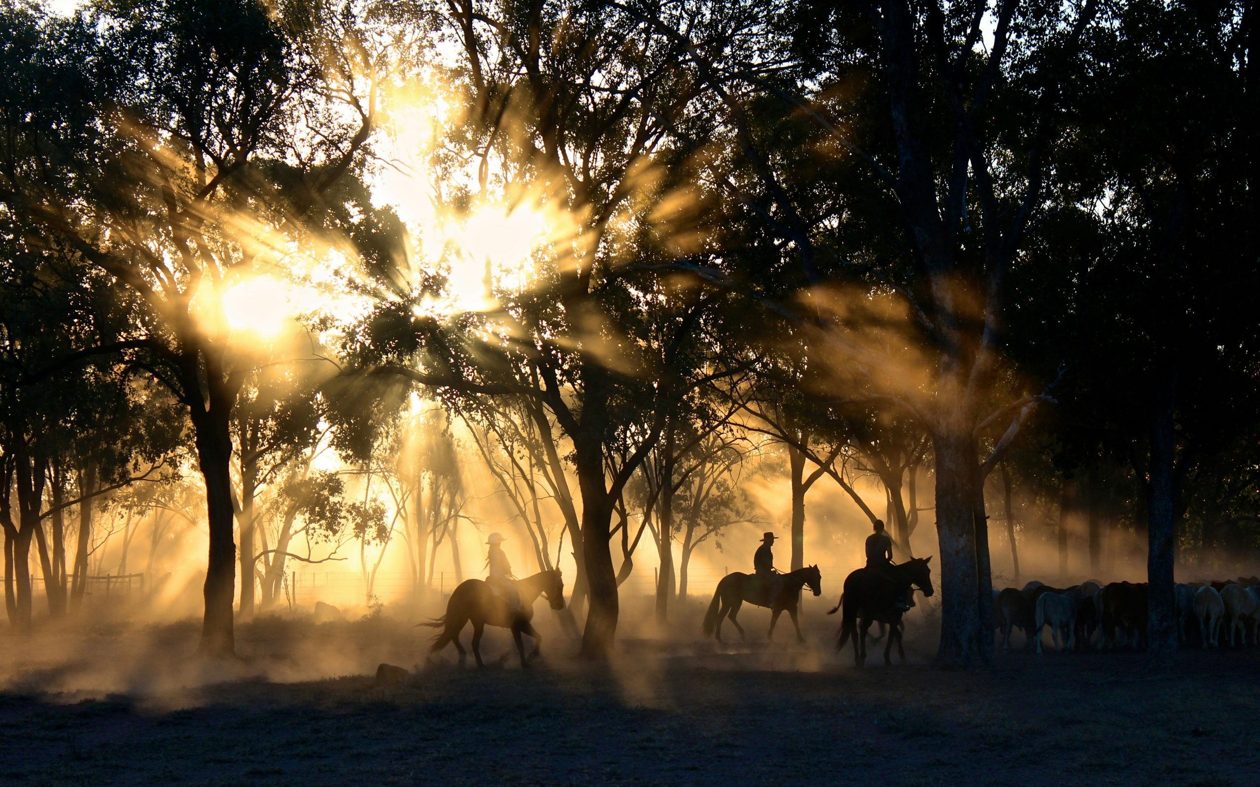 Horse Riding Holidays in America: There’s Something for Everyone!