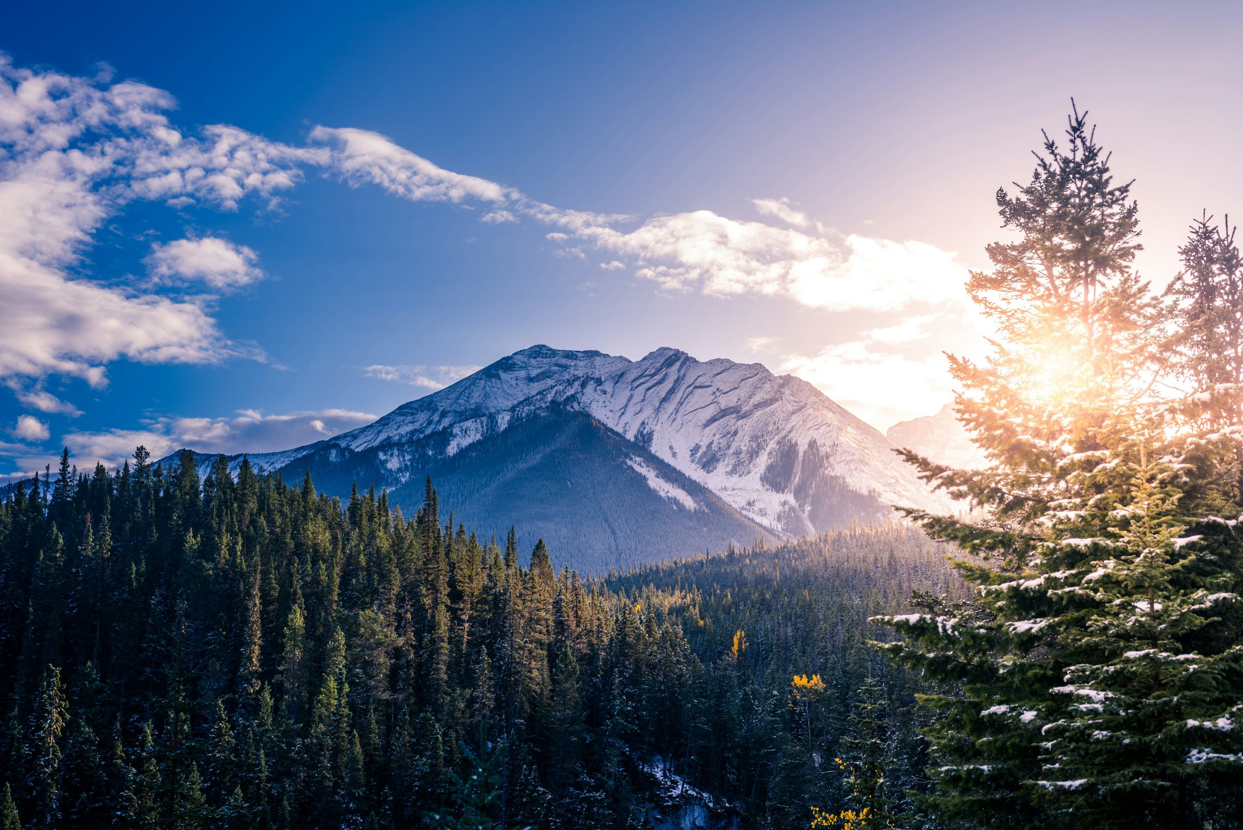 Four seasons of fun: planning your year-round family adventure in Canada