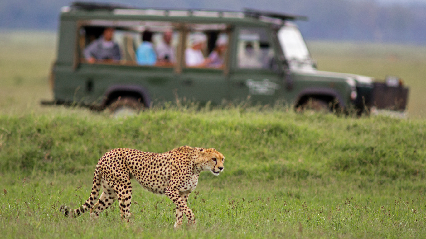 The Ultimate Guide to a Botswana Luxury Safari