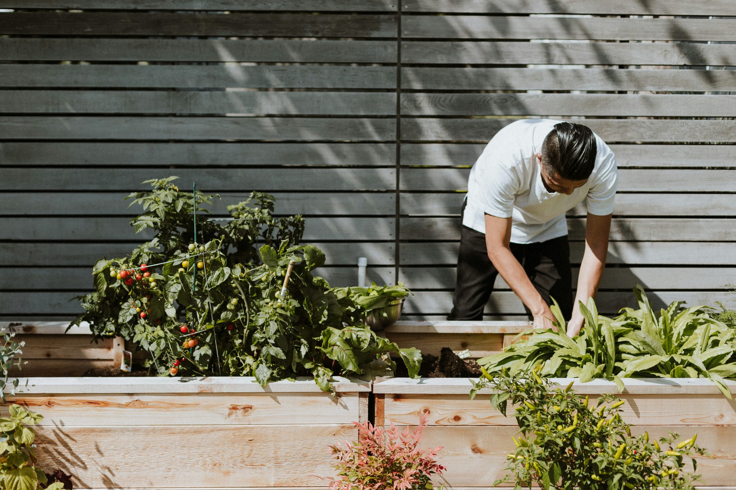Landscaping Ideas For Small Gardens And Outdoor Areas
