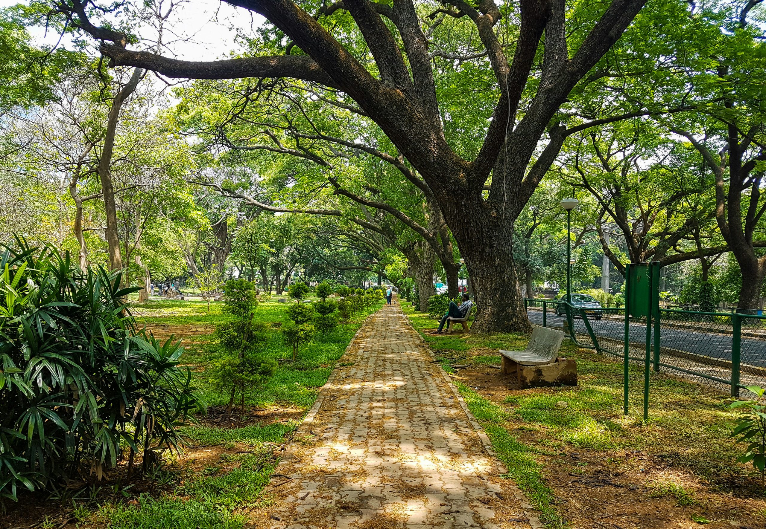 Things to do in Bangalore for couples