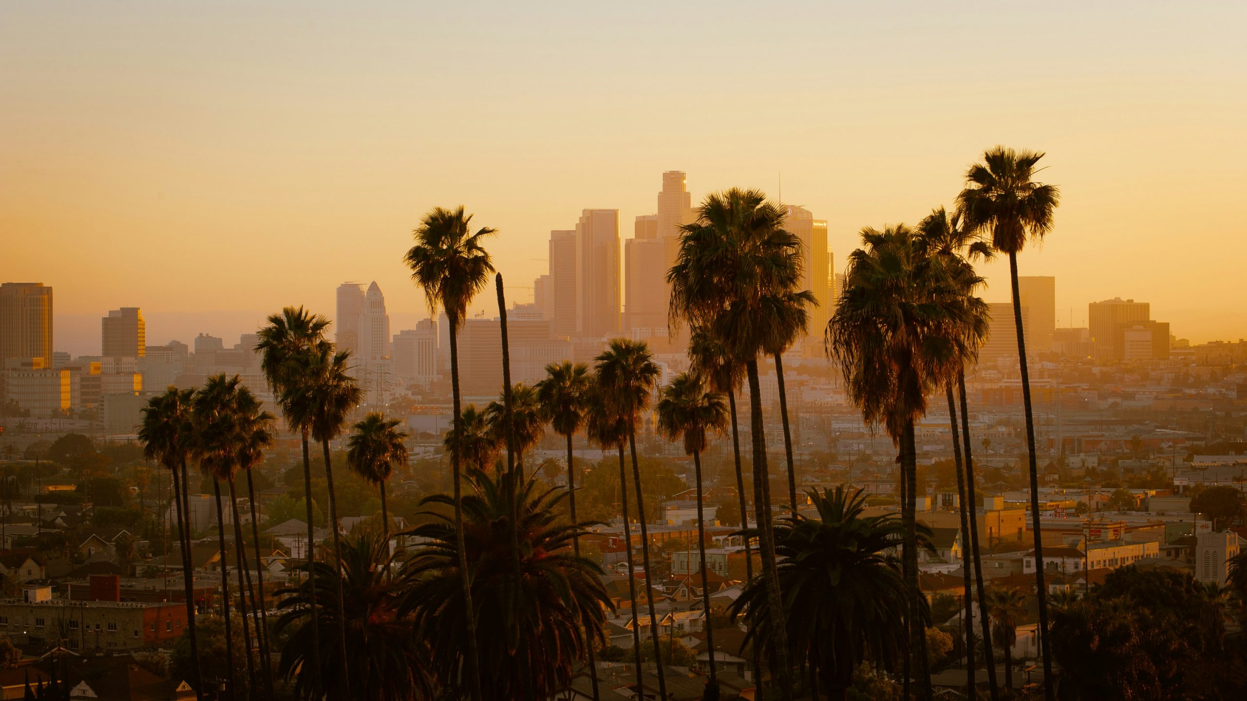 The 6 Best Party Destination Ideas in Southern California