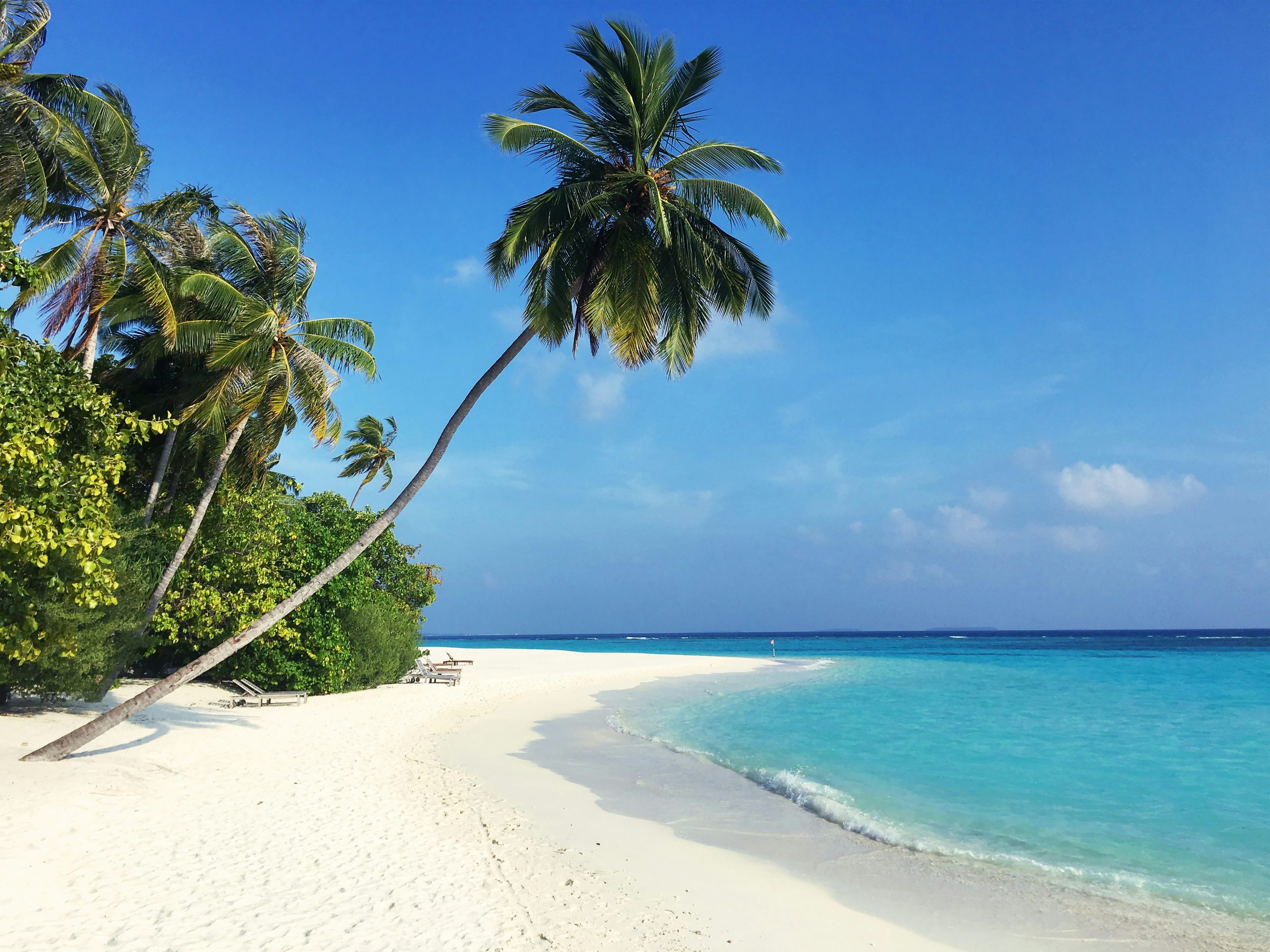 Reasons to explore the wonders of the Maldives