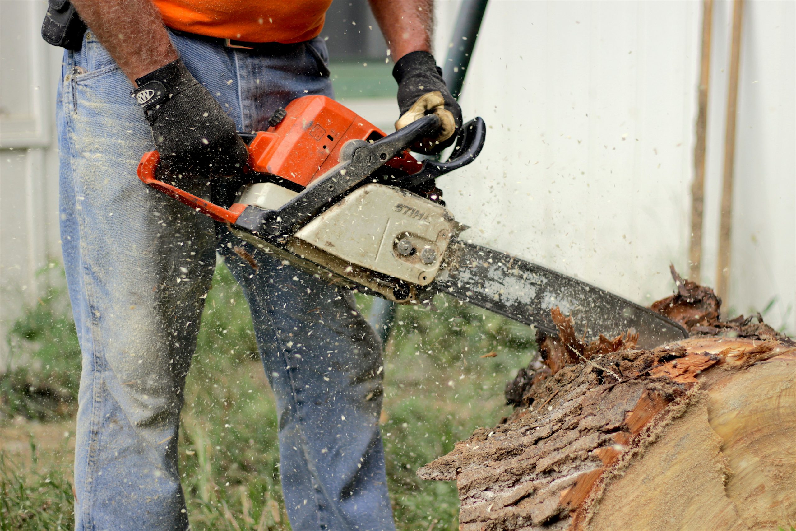 Chainsaw Protective Chaps: Essential Maintenance Tips for Longevity