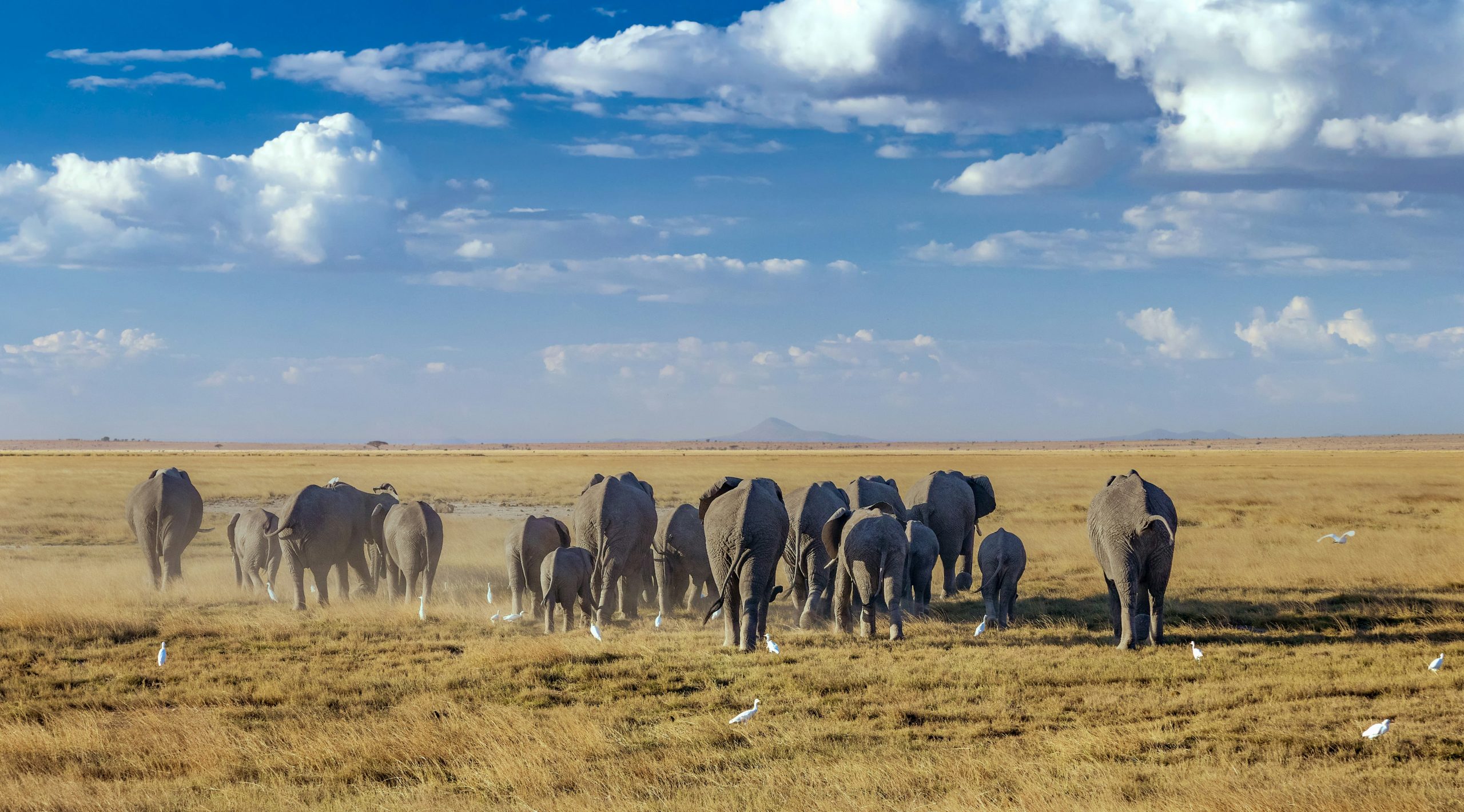 Put Nature First With The Mitigation Hierarchy