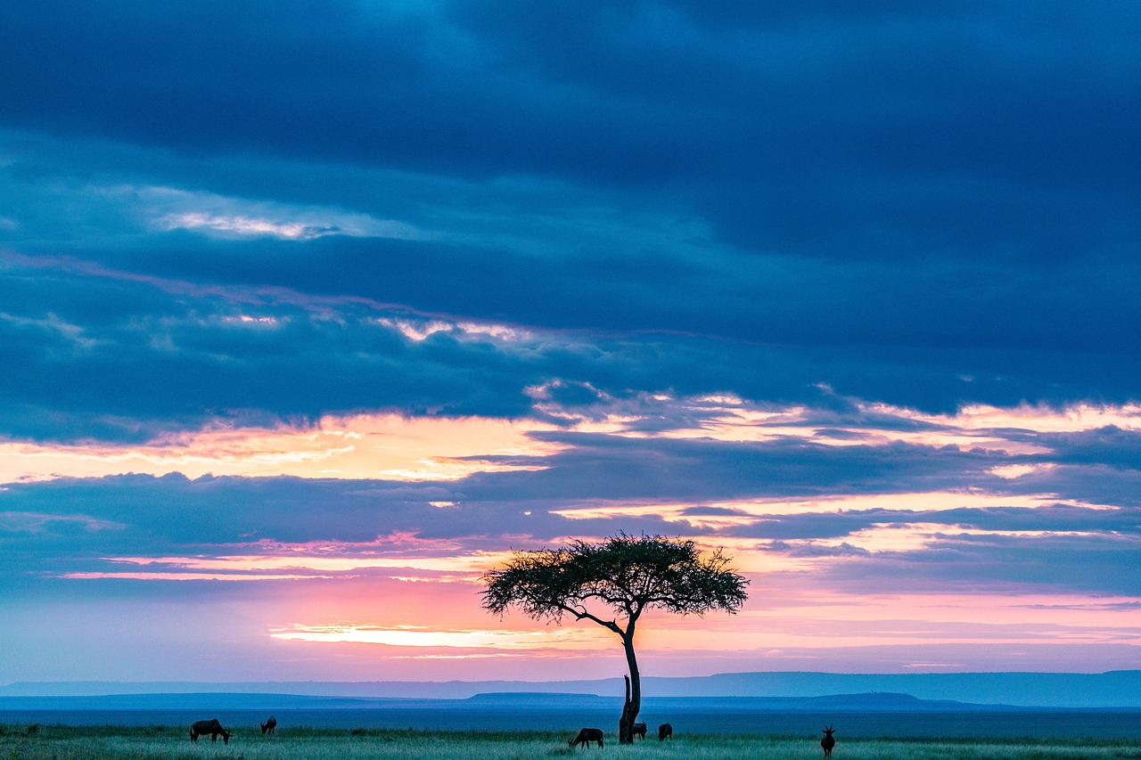 The Best City Experiences in Kenya