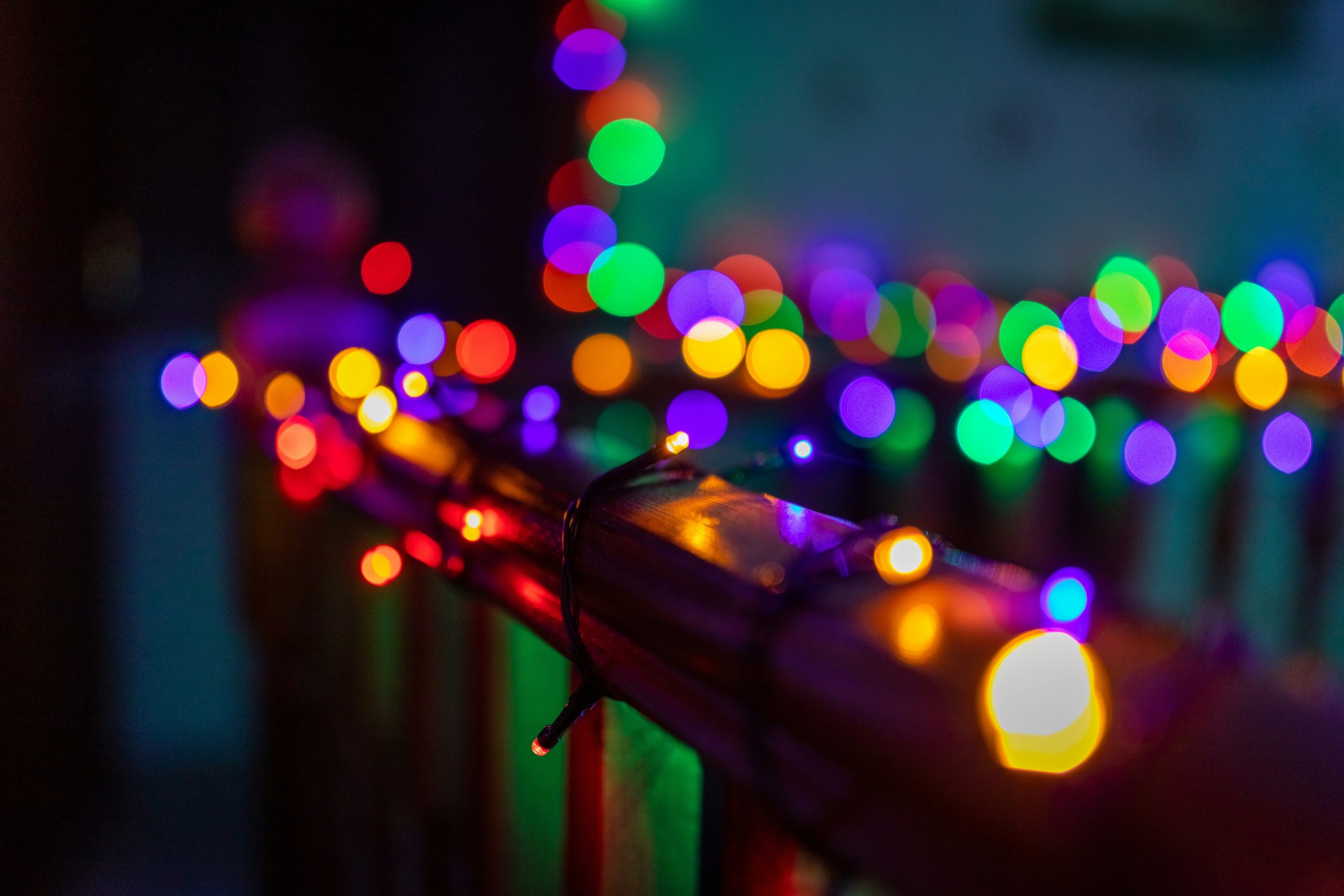 Your Winter Wonderland: Outdoor Christmas Lights for Gardens