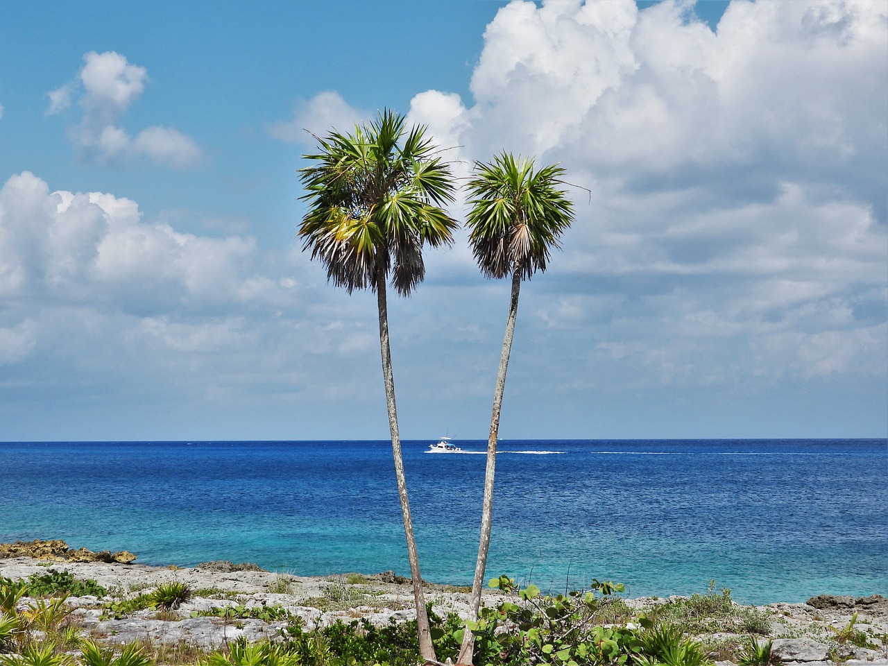 Why Vacation Rentals Are the Best Way to Experience Cozumel
