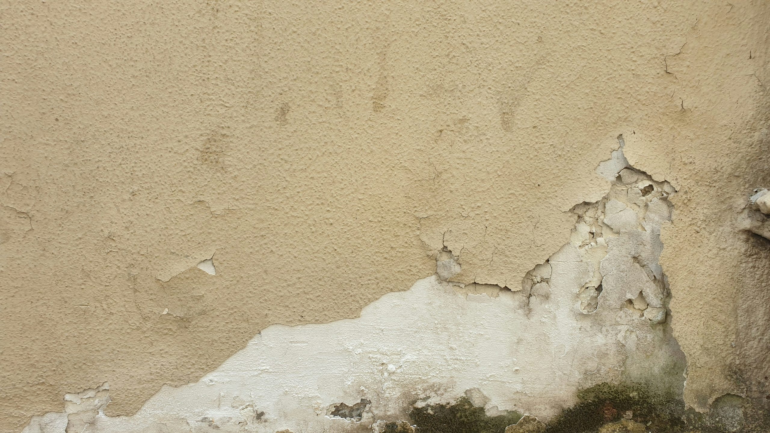 How Can a Paid Damp Survey Save You Money in the Long Run?