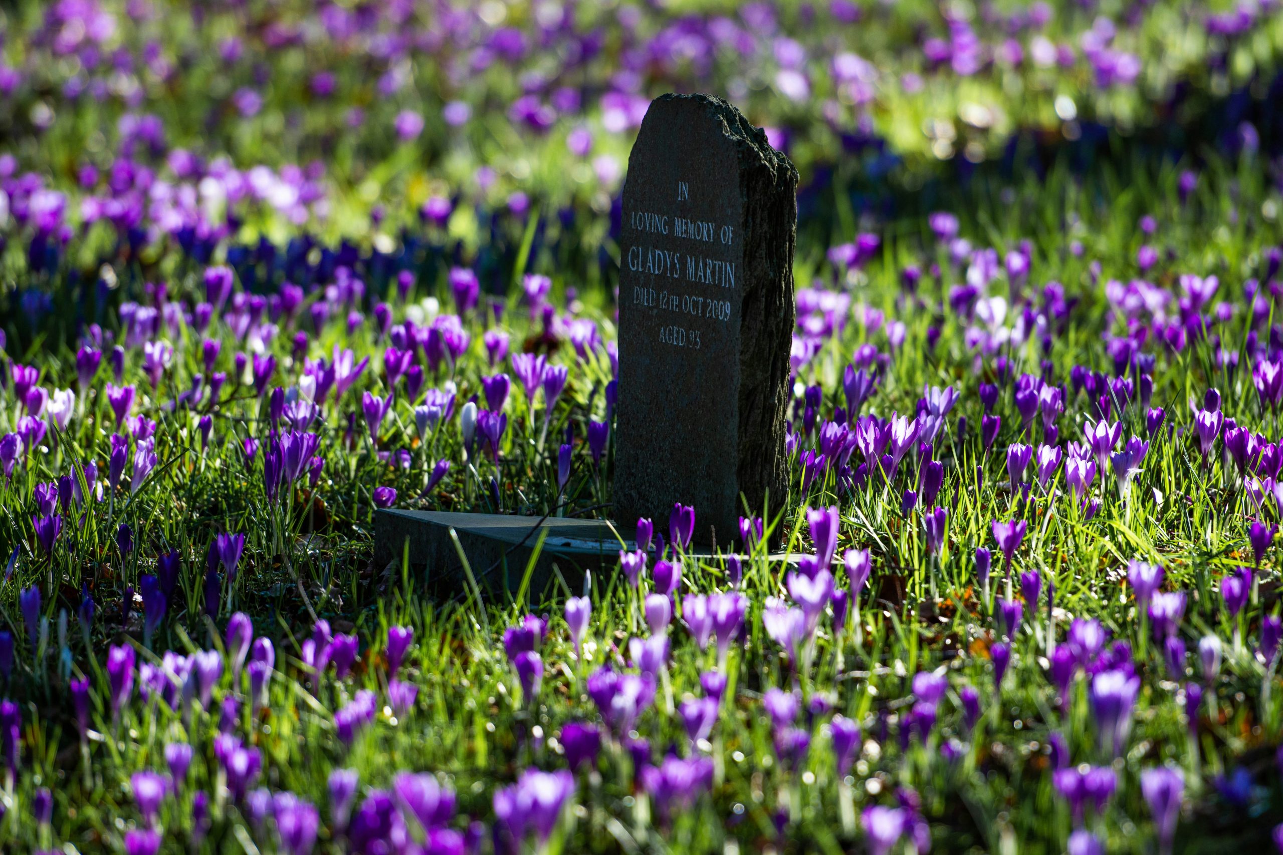 8 Trends in Funeral Headstones for Modern Memorials