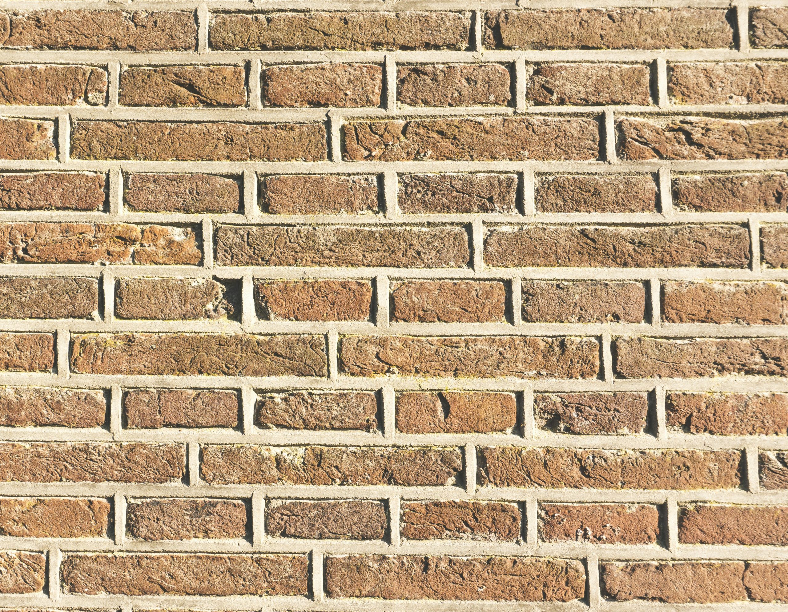 Important Party Wall Advice That Homeowners Should Know