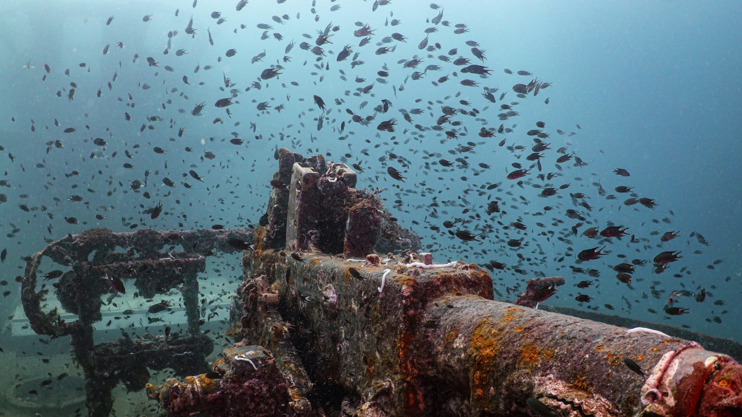 How to Find Shipwreck Riches: A Comprehensive Guide