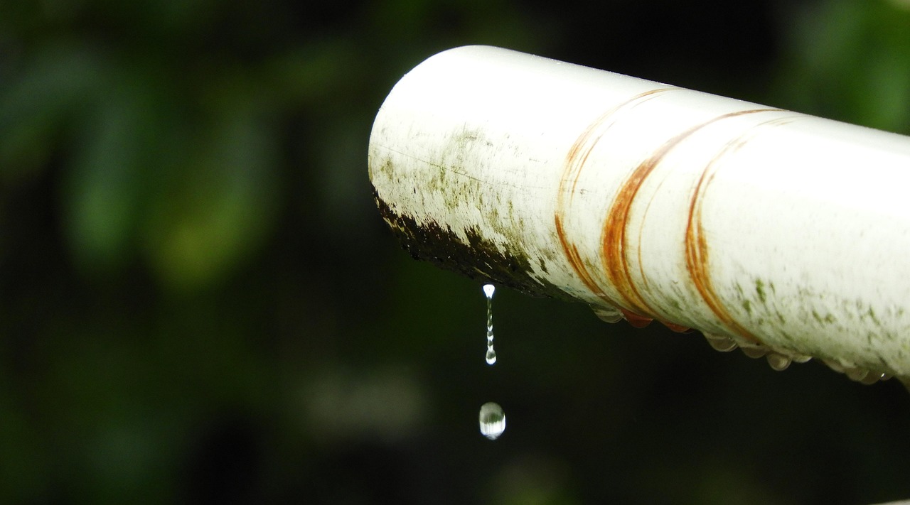 Why Experience Matters: Choosing The Right Pipe Relining Professionals
