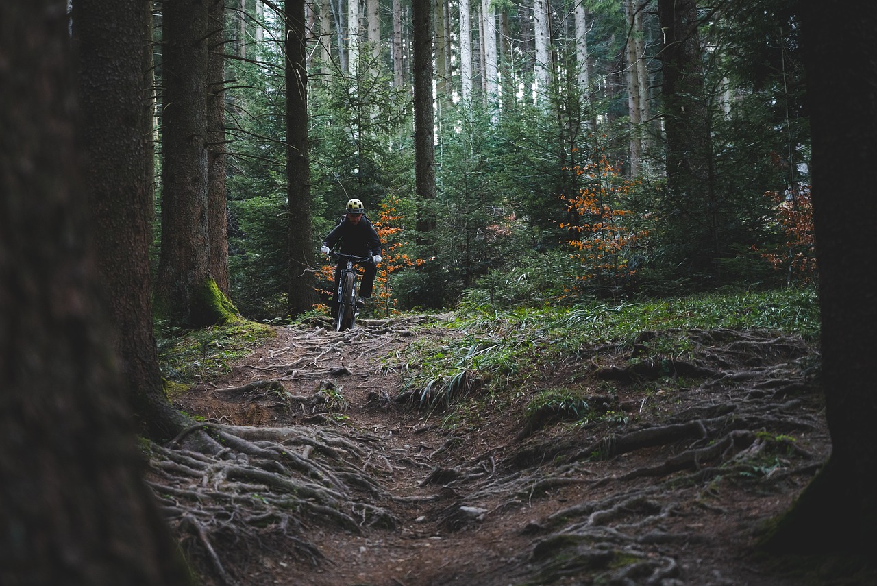 Weekend-Friendly Pursuits for Those Who’d Rather Skip the Gym