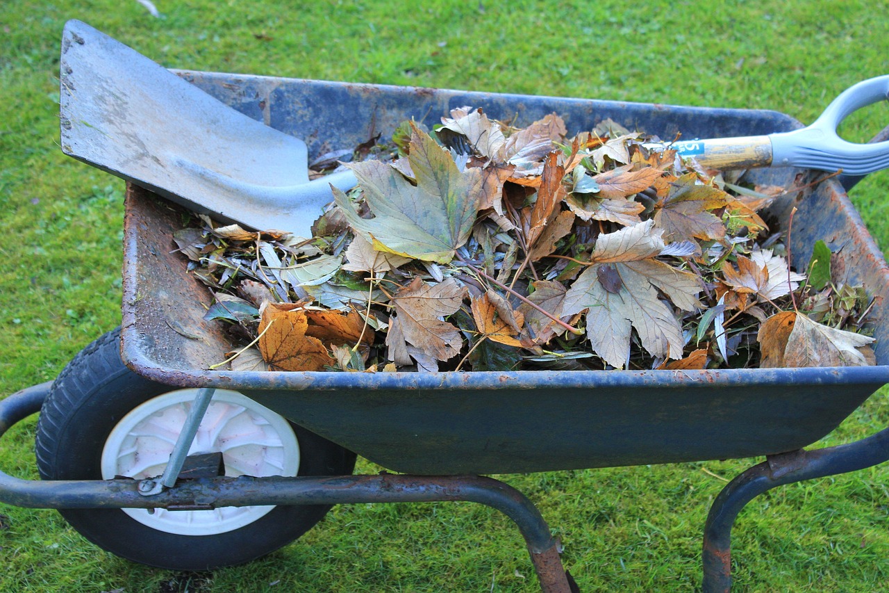 The Art of Household Maintenance