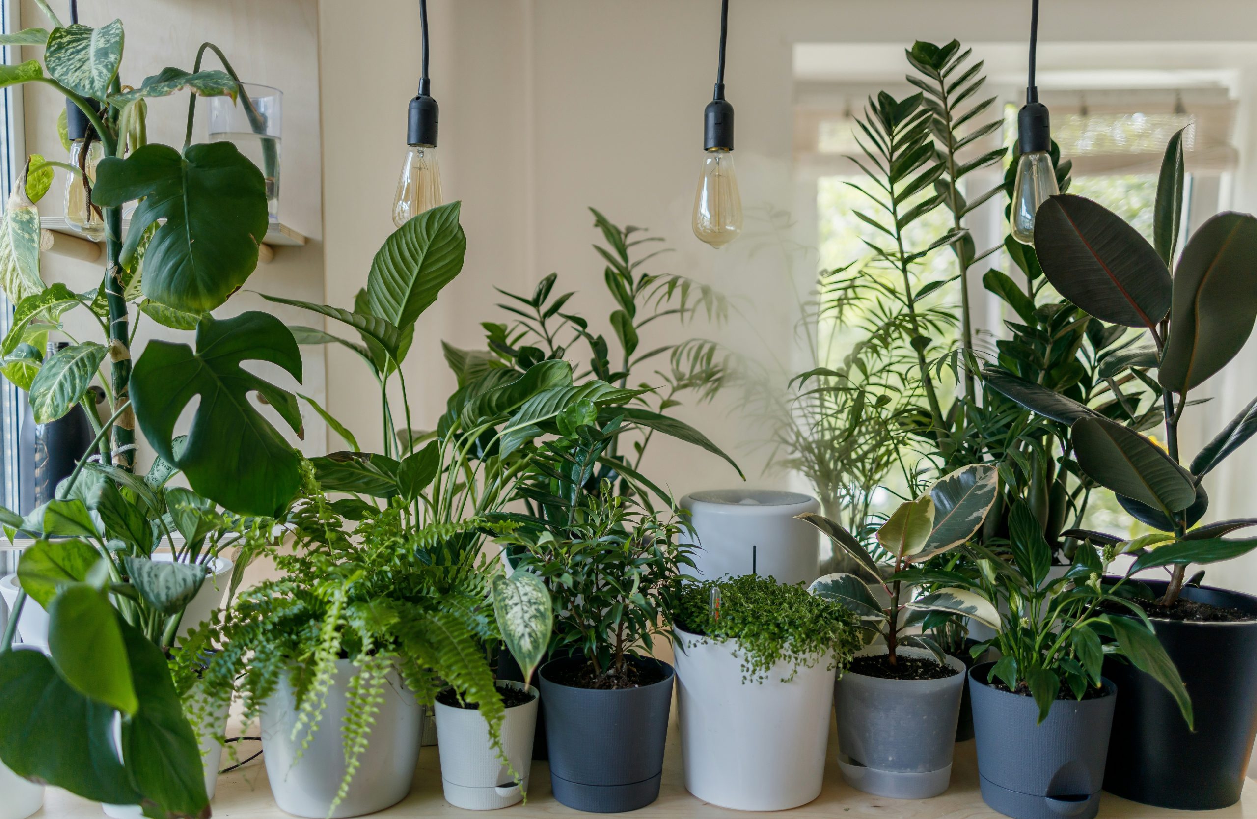 The Importance of Inline Duct Fans for Indoor Gardening