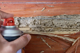Common Mistakes Homeowners Make When Trying to Treat Termites Themselves