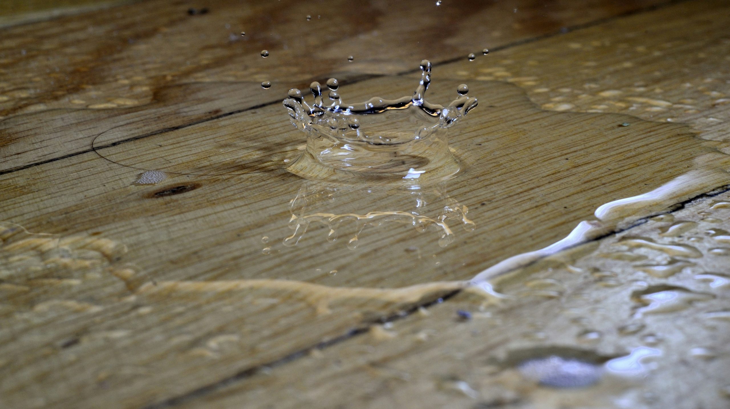 How Professional Water Extraction Equipment Actually Works