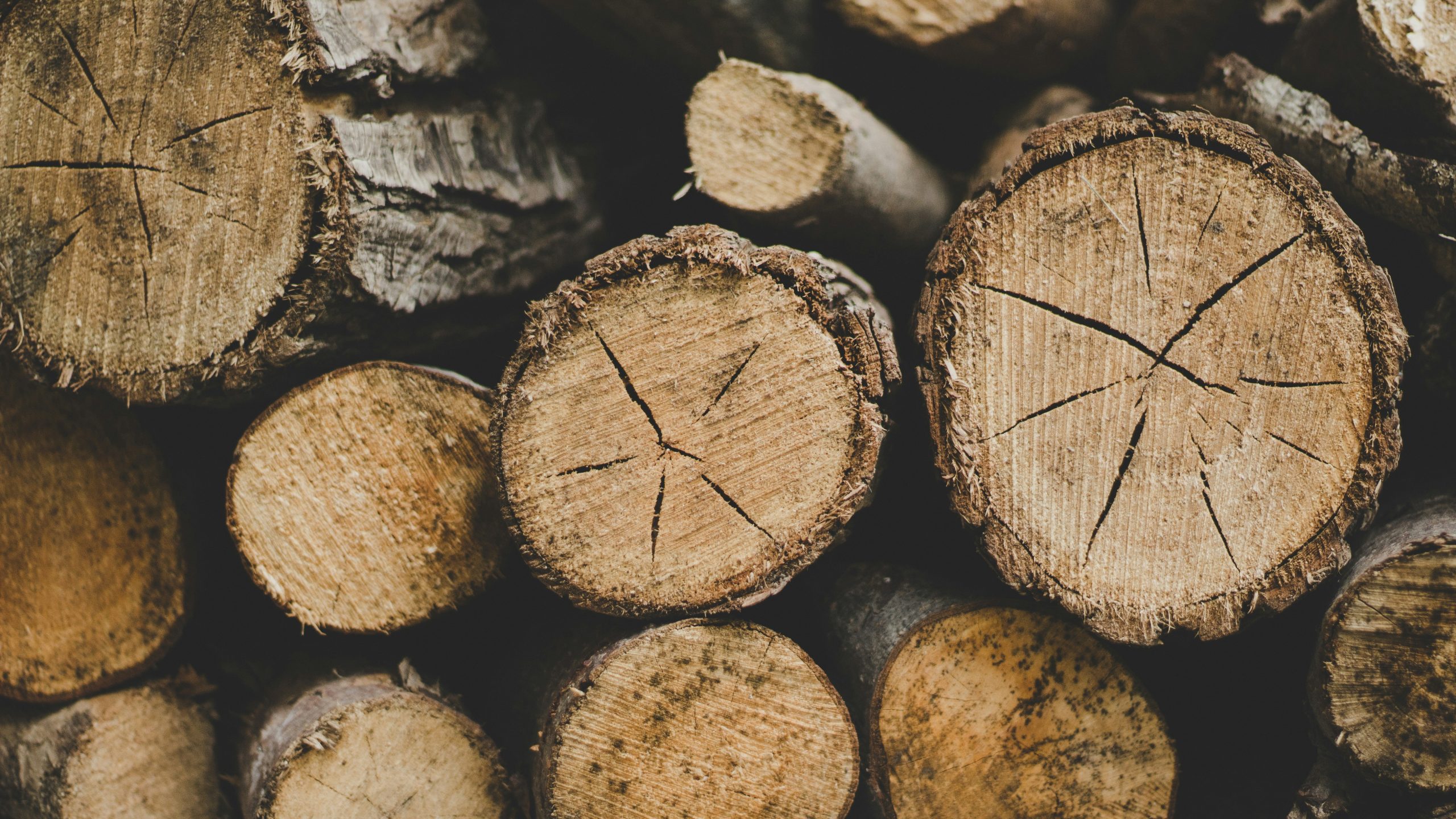 Understanding Timber Classes: Which Fencing Timber Supplies Do You Actually Need?