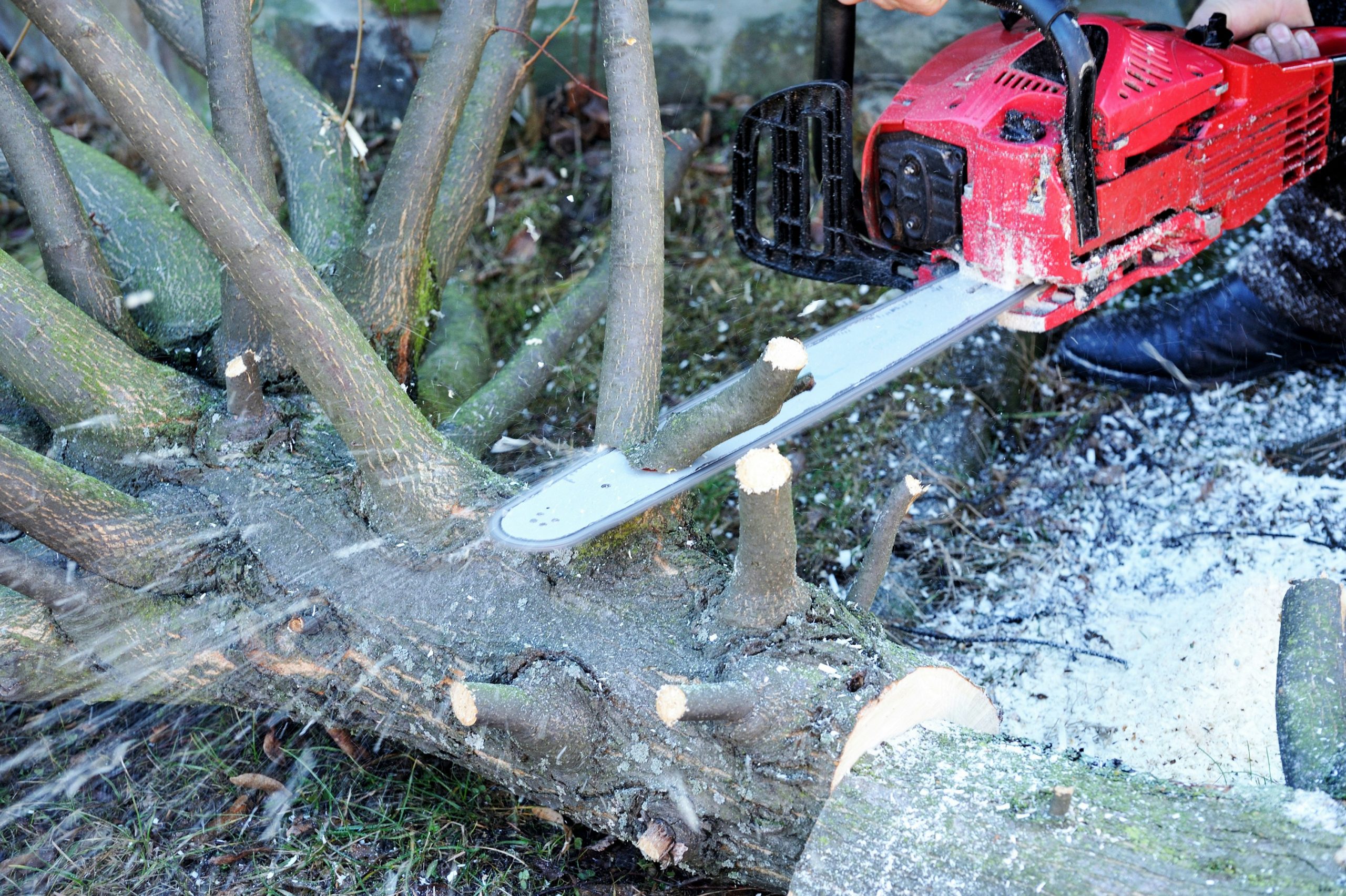 5 ways a gas chainsaw can actually save money